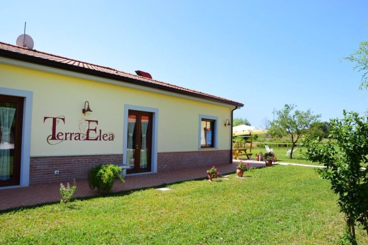 Agriturismo Terra Di Elea