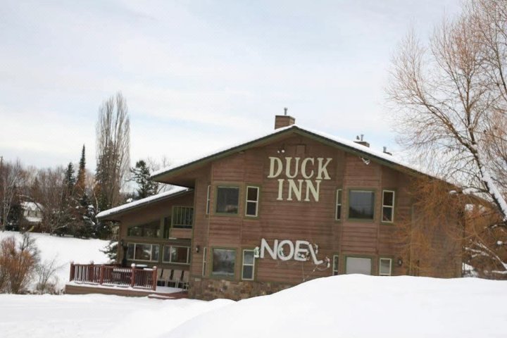 达克小屋旅馆(Duck Inn Lodge)