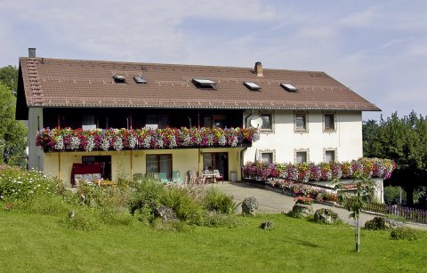 祖尔布鲁林酒店(Zur Burgruine)