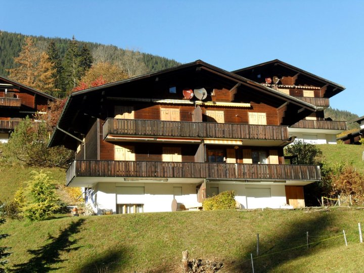 Mom - Alpine Boutique Apartments, Grindelwald Gletscher, Eiger View Terrace Studio