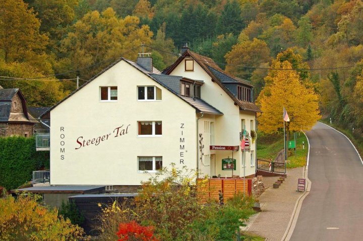 斯蒂格塔尔酒店(Steeger Tal)