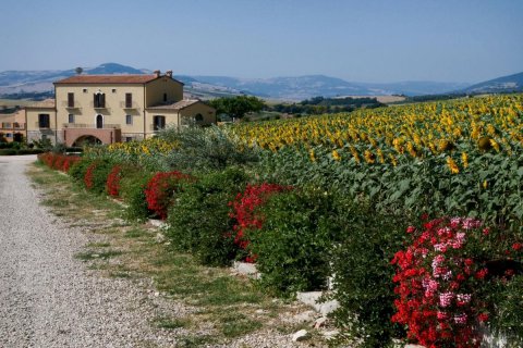 玛赛丽雅格兰德酒店(Masseria Grande)