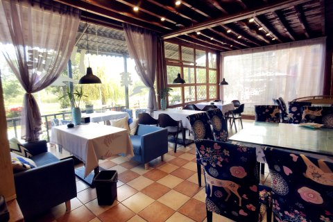 泸沽湖陌上花开湖景客栈