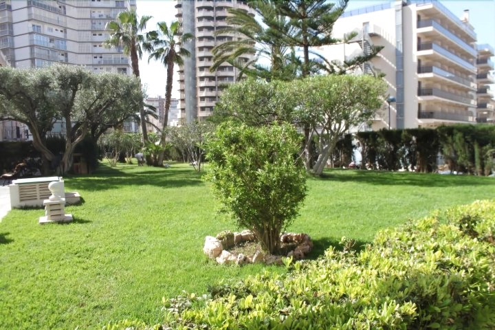 阿拜达公园公寓酒店(Albaida Park Apartment)
