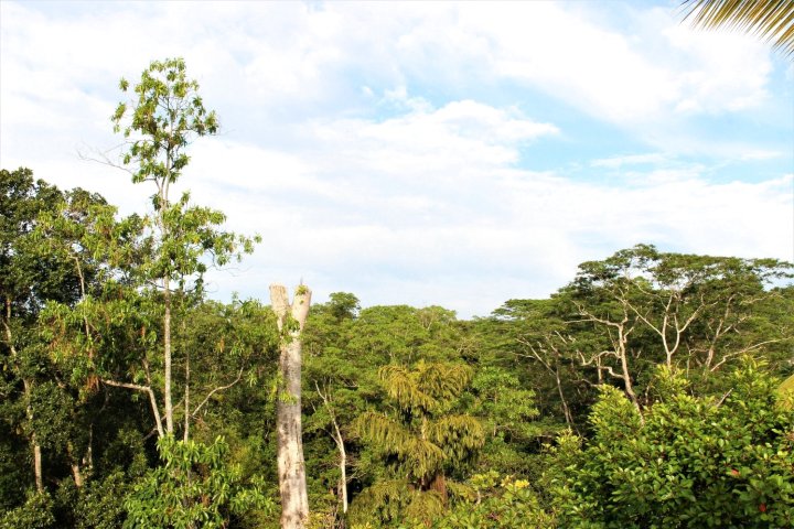 康提汉塔纳电子入住住宿加早餐旅馆(E-Stay Hanthana Kandy)