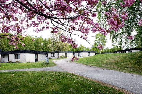 北欧民俗住宿加早餐酒店(Nordiska Folkhögskolan Bed and Breakfast)