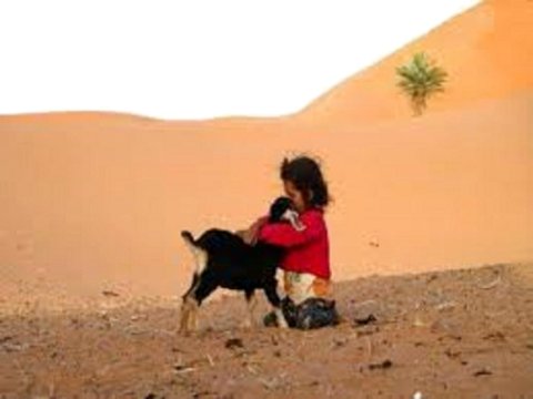 Sahara Life Trips
