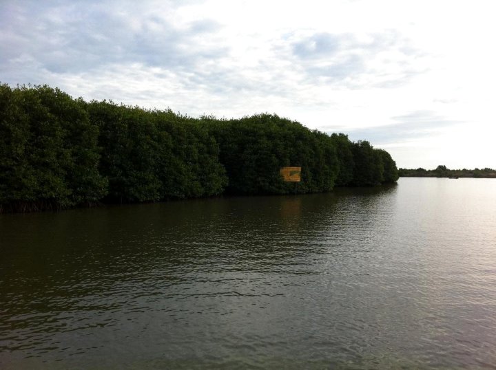 红树林旅馆(Mangrove Lodge)