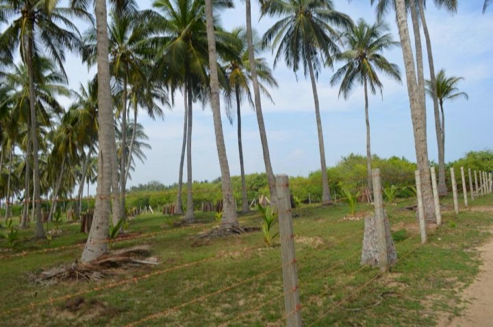 水滨雅拉度假村(Aqua Front Yala Resort)