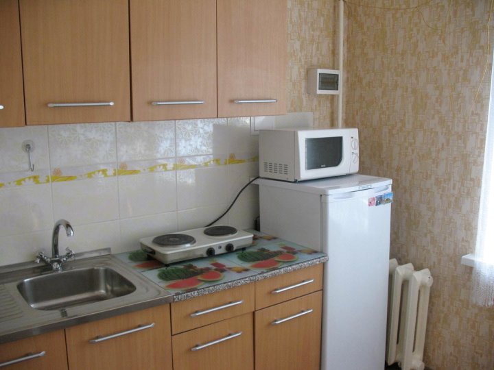 安加斯克伊公寓(Apartment na Angarskoy)