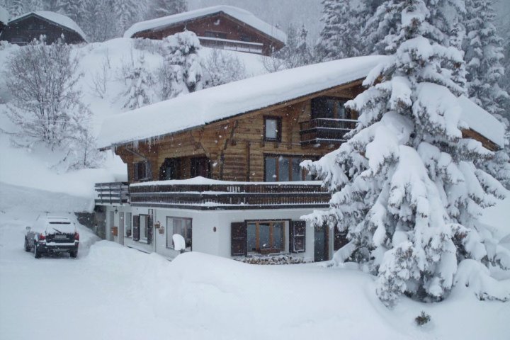 怀德霍恩小木屋(Chalet Wildhorn)