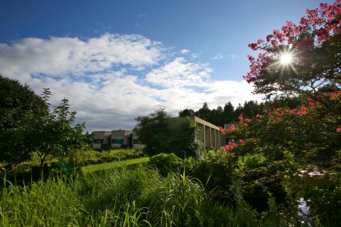 治愈花园住宿加早餐旅馆(B&B Healing Garden)