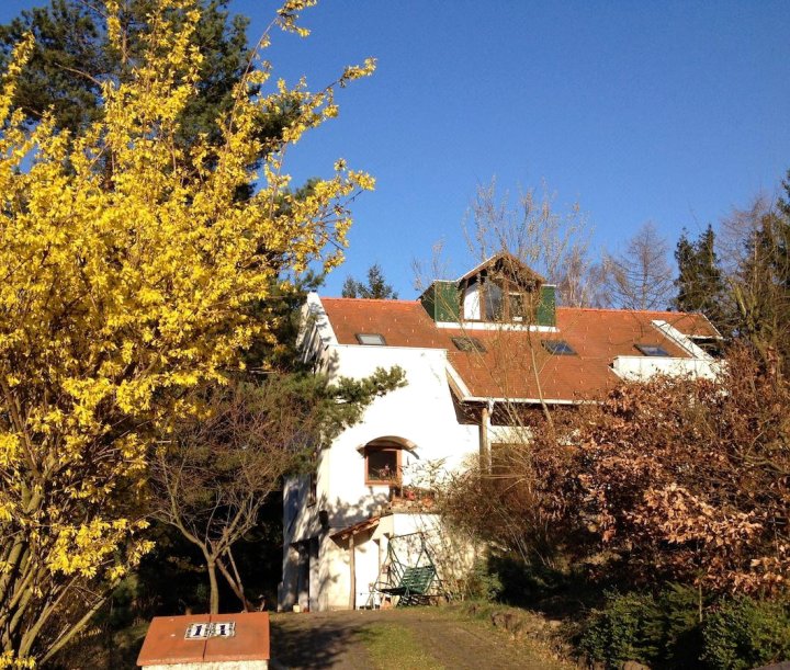 维耐瓦德住宿加早餐旅馆(Wienerwald)