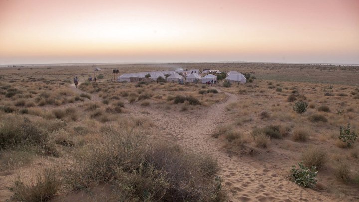 Vasu Desert Camp