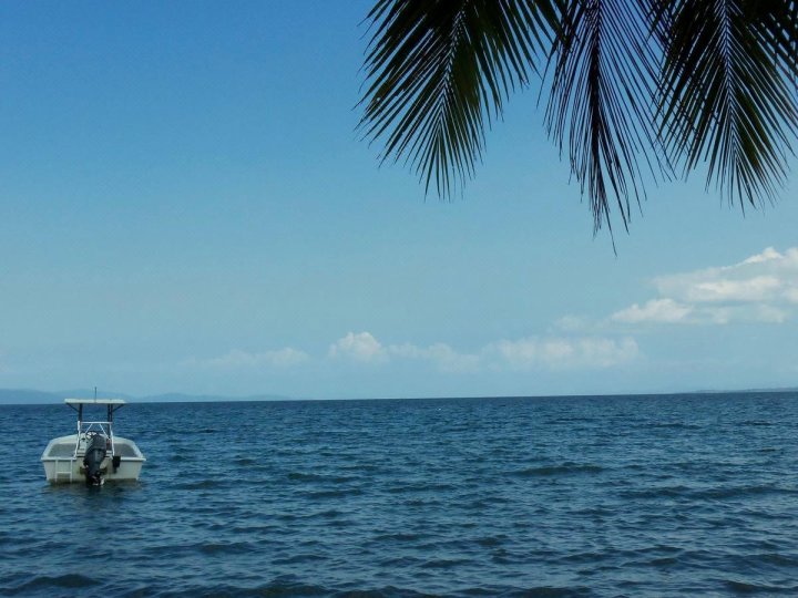 Cabinas Palmeras Lodge