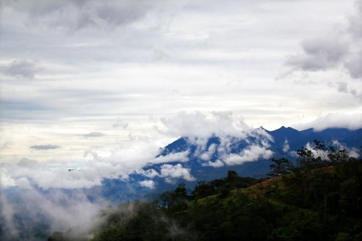 自然地平线旅馆(Nature Horizon)