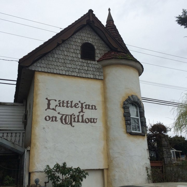 柳树小旅馆(Little Inn on Willow)