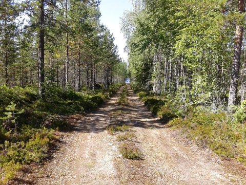 Bograngen Finnskogen