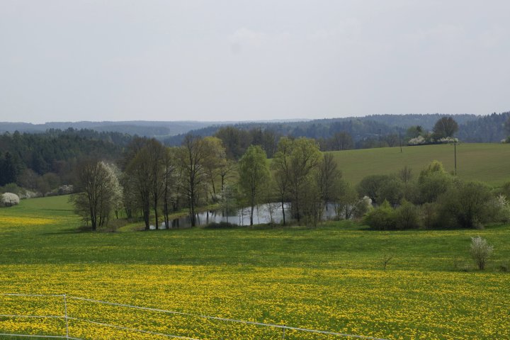 Gut Schönhof