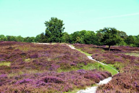 Villapark Akenveen