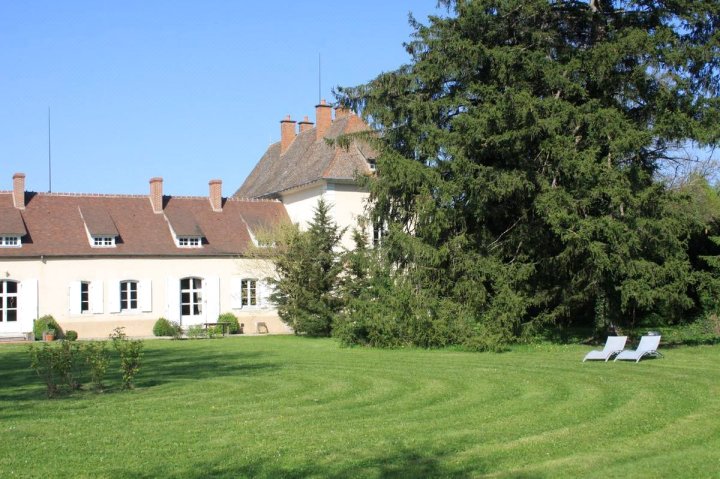 艾德琳斯住宿加早餐旅馆(Château des Edelins)