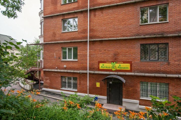 安瑞克斯旅馆(Abrikos Hostel)