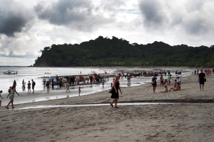 洛坎达萨马拉海滩旅馆(Locanda Samara Beach)