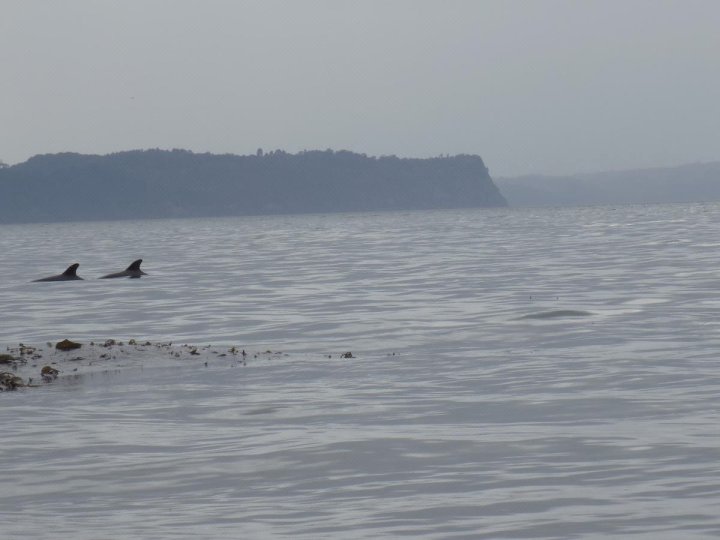 Cabaña Lelbun-Chiloé