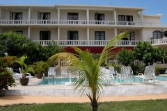 棕榈树花园酒店(The Palm Tree Garden Hotel)