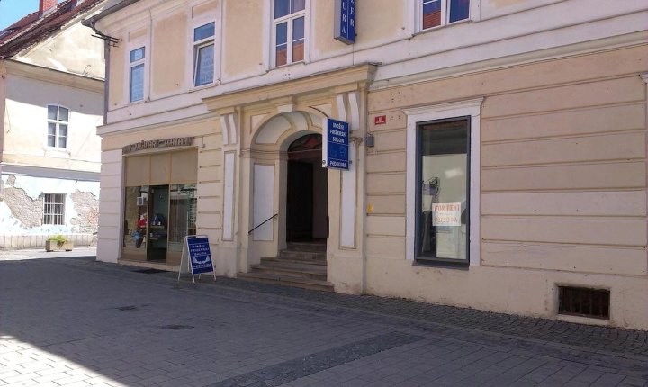 马里博尔维特林斯卡旅馆(Hostel Vetrinjska Maribor)