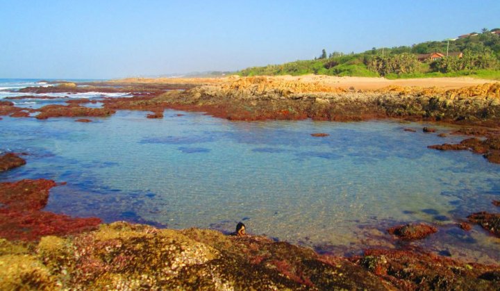 普穆拉冲浪营地青年旅舍(Pumula Surf Camp - Hostel)