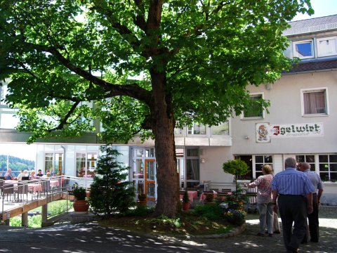 伊格沃特伯格霍夫酒店(Berggasthof Hotel Igelwirt)