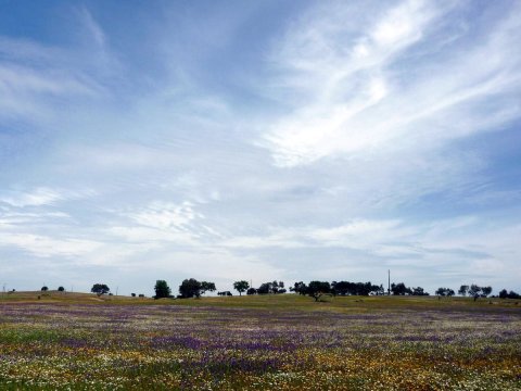 Horta da Lameira - Agroturismo