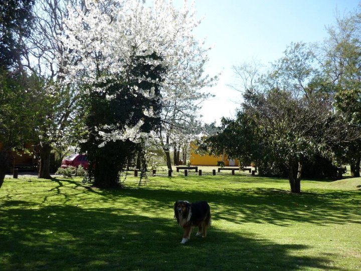 Cabañas Campo de Liebres