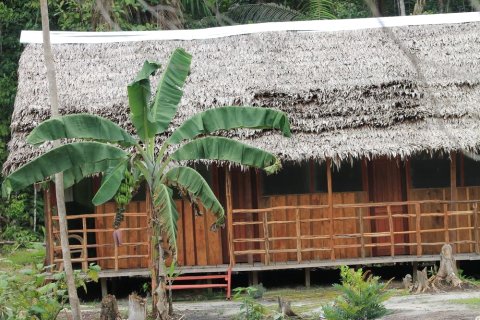 路普纳旅馆(Lupuna Lodge)