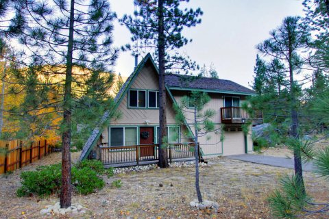 Bear Necessities Cabin