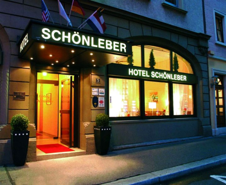 施勒贝城市酒店(City Hotel Schönleber)