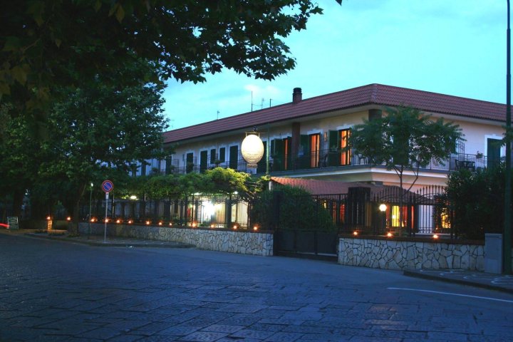 迪利阿米奇酒店(Hotel Degli Amici)