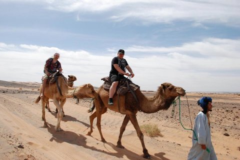 撒哈拉驼峰之旅豪华帐篷(Camp Camel Tour Sahara)