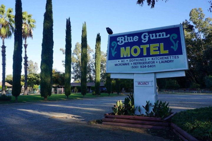 布鲁甘姆汽车旅馆(Blue Gum Motel)
