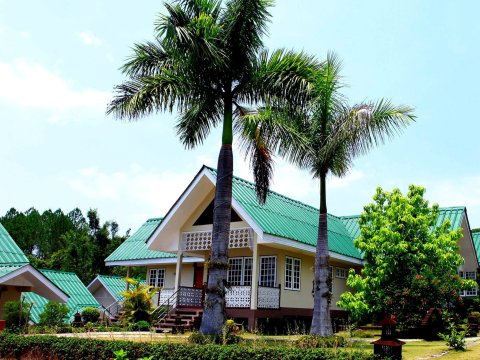 松木山度假酒店(Pine Hill Resort)