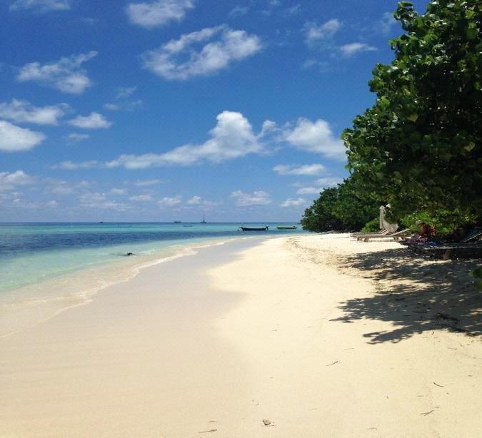 拉斯胡大道旅馆(Rasdhoo Dive Lodge)