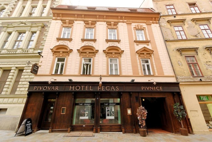 里伽斯布尔诺酒店(Hotel Pegas Brno)