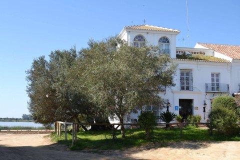 罗希奥托鲁诺酒店(Toruño del Rocío)