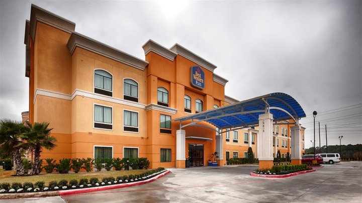 JFK套房酒店(Best Western Plus JFK Inn and Suites)