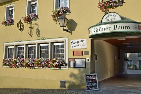 巴姆格鲁奈酒店(Hotel Grüner Baum)