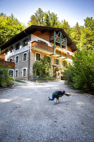 哈莫施米德纳图里酒店(Naturidyll Hotel Hammerschmiede)