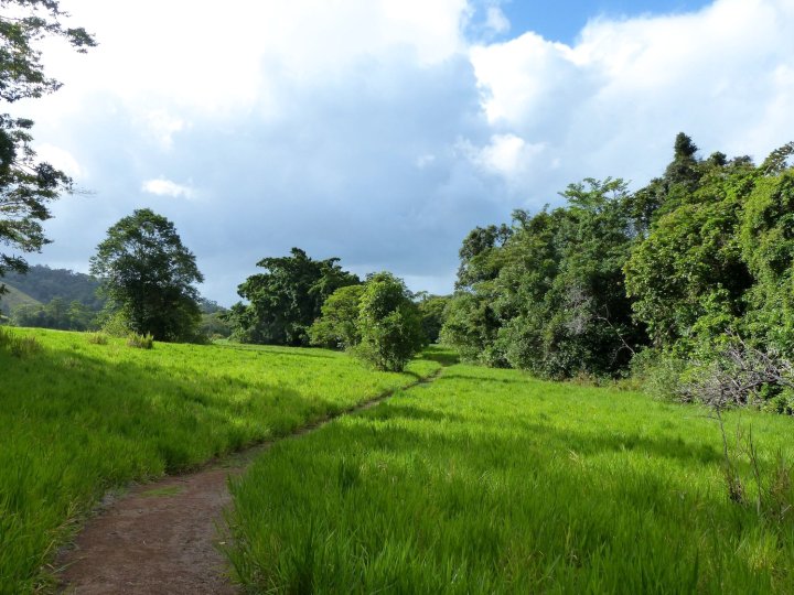 丹特里谷避风港(Daintree Valley Haven)