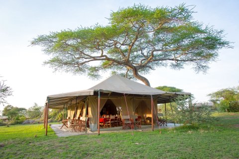 姬苏拉塞伦盖蒂帐篷营地酒店(Kisura Serengeti Tented Camp)