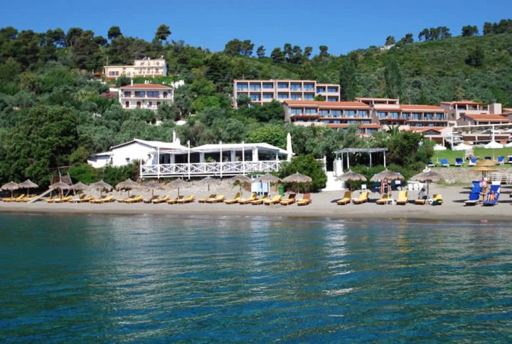 瓦希利亚斯海滩酒店(Vassilias Beach Hotel)